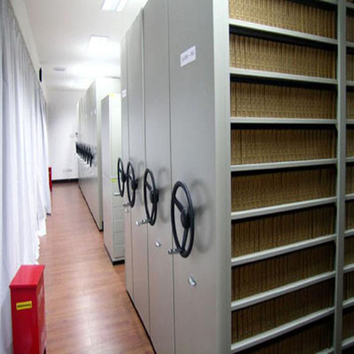 RX-MK02 十层会计凭证密集架